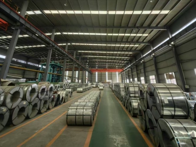 Steel Morning Post（20241205）