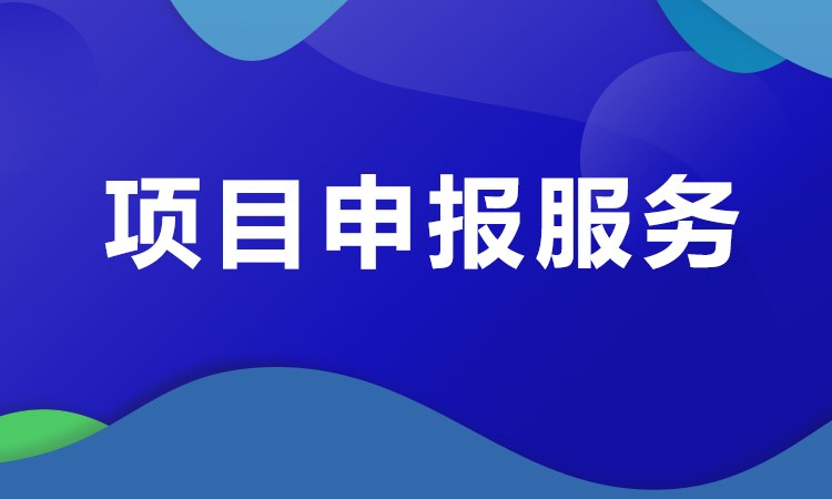 项目申报服务