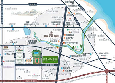 森霆控股