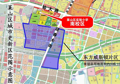 森霆控股