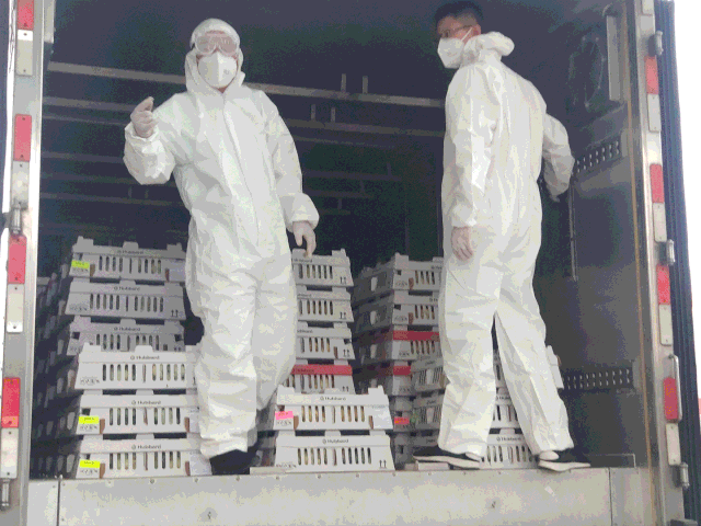 微信圖片_20200910144649.gif
