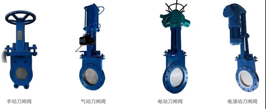 微信图片_20220511131233.jpg