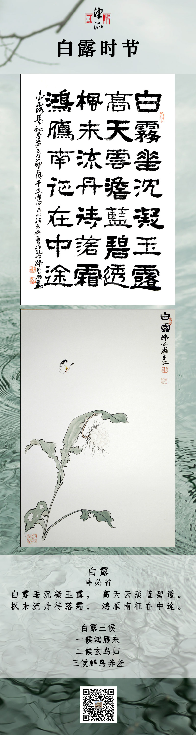 白露PSD26.jpg