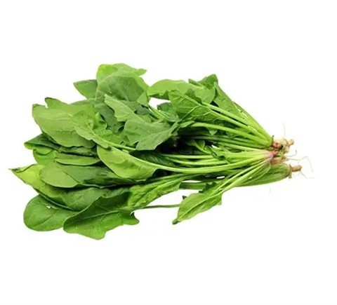 菠菜